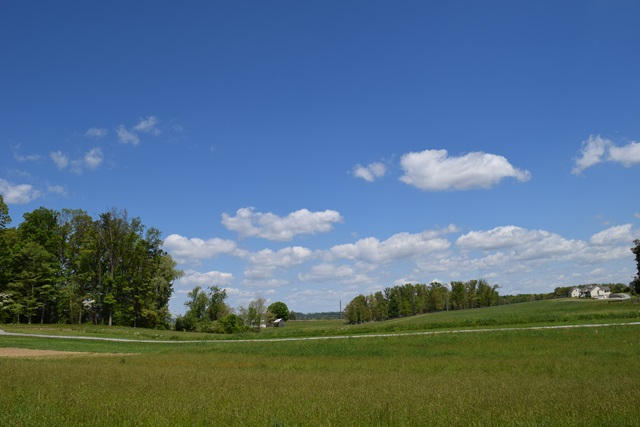 5.05-ac Reece Road Chuckey, TN 37641 - Photo 14 of 24 DSC_0896