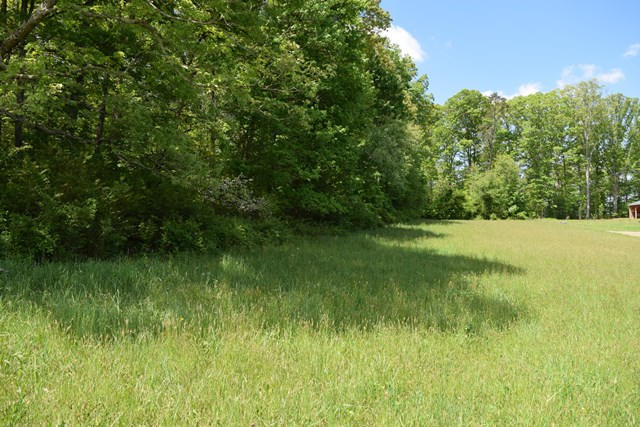 5.05-ac Reece Road Chuckey, TN 37641 - Photo 15 of 24 DSC_0897