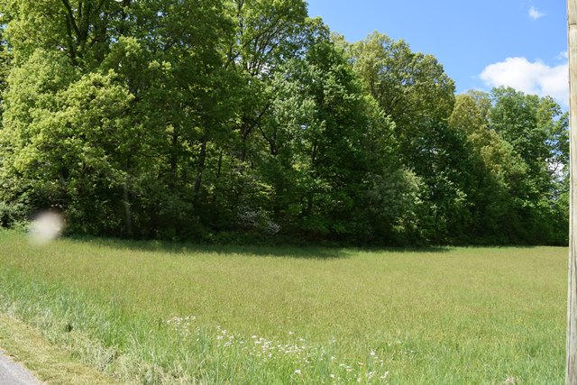5.05-ac Reece Road Chuckey, TN 37641 - Photo 17 of 24 DSC_0899
