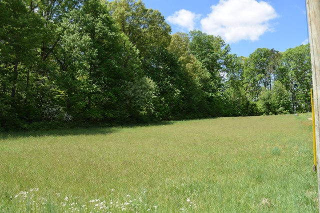 5.05-ac Reece Road Chuckey, TN 37641 - Photo 19 of 24 DSC_0901