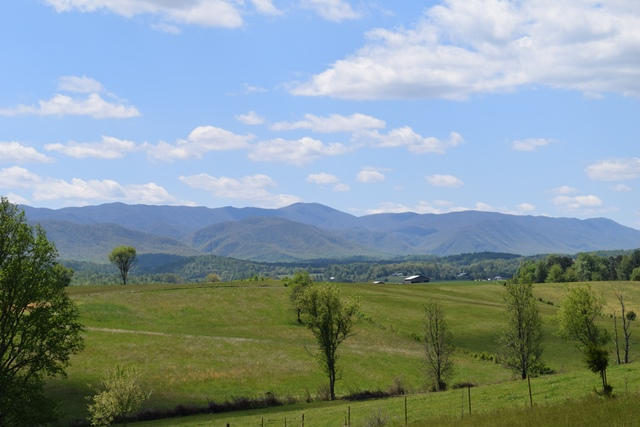 5.05-ac Reece Road Chuckey, TN 37641 - Photo 21 of 24 DSC_0903