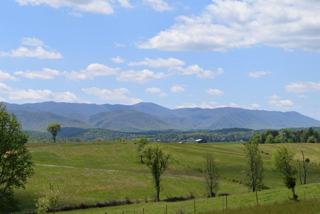 5.05-ac Reece Road Chuckey, TN 37641 - Photo 22 of 24 DSC_0904