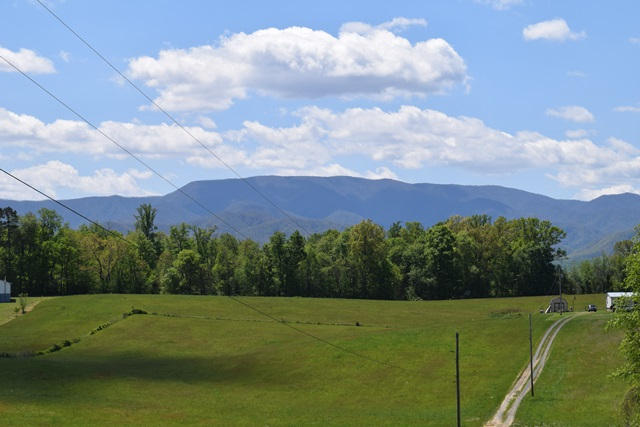 5.05-ac Reece Road Chuckey, TN 37641 - Photo 23 of 24 DSC_0905