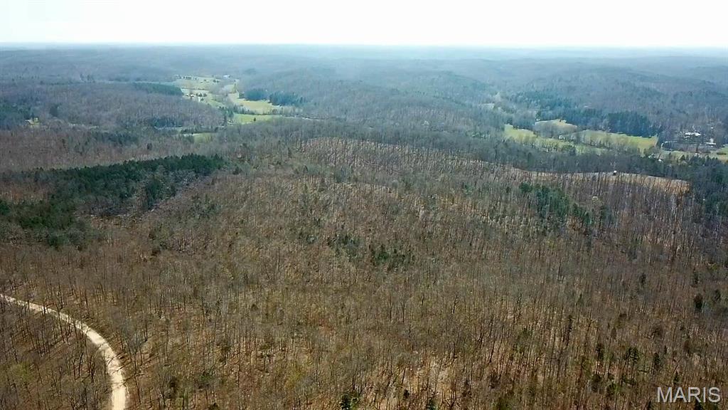 Parcel #1 Lake Road Silva, MO 63964 - Photo 2 of 12