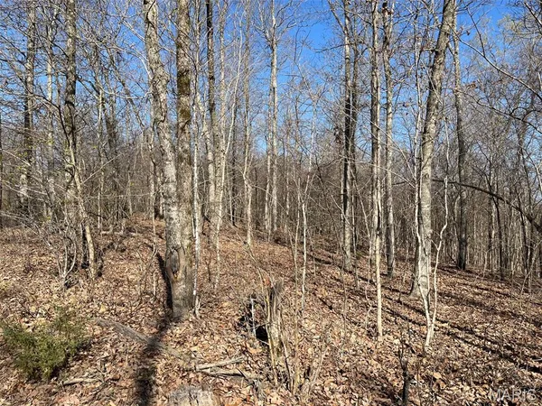 $87,500 | Parcel #1 Lake Road, Silva, MO 63964