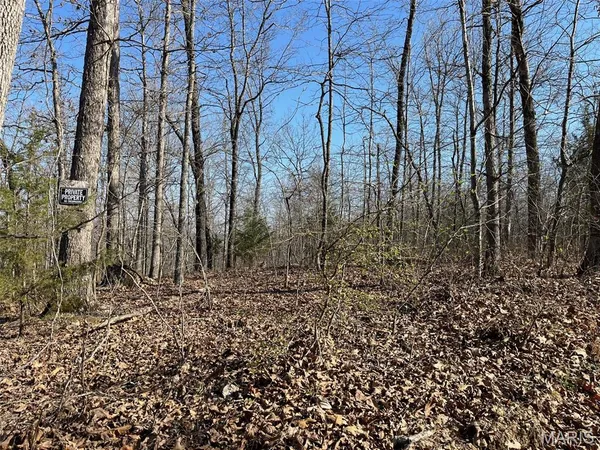 $87,500 | Parcel #1 Lake Road, Silva, MO 63964
