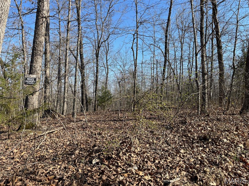 Parcel #1 Lake Road Silva, MO 63964 - Photo 4 of 12