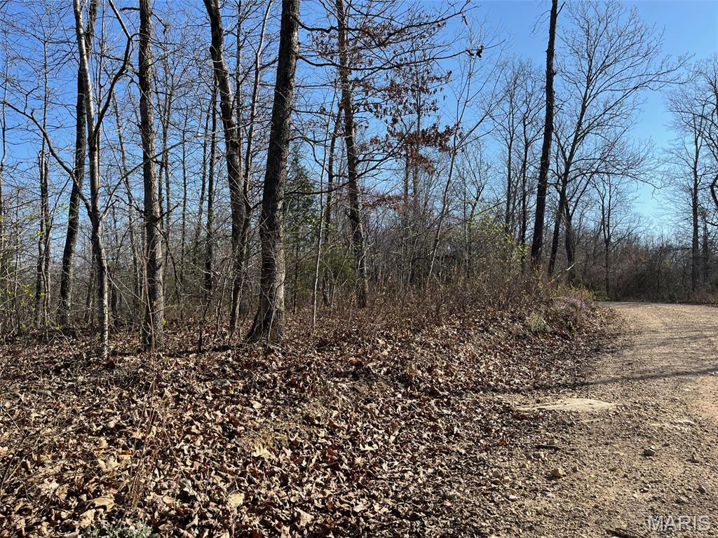 Parcel #1 Lake Road Silva, MO 63964 - Photo 5 of 12