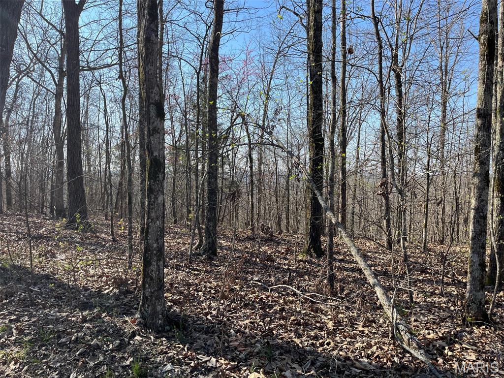 Parcel #1 Lake Road Silva, MO 63964 - Photo 6 of 12