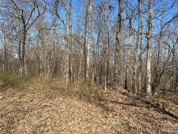 $87,500 | Parcel #1 Lake Road, Silva, MO 63964