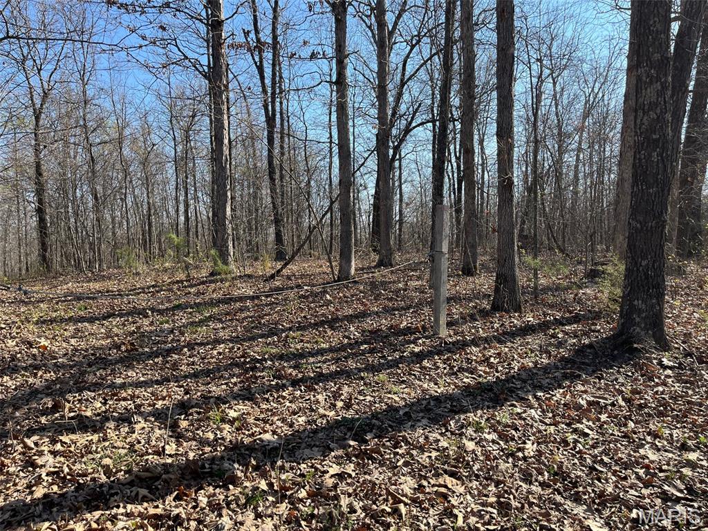 Parcel #1 Lake Road Silva, MO 63964 - Photo 8 of 12