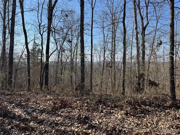 $87,500 | Parcel #1 Lake Road, Silva, MO 63964