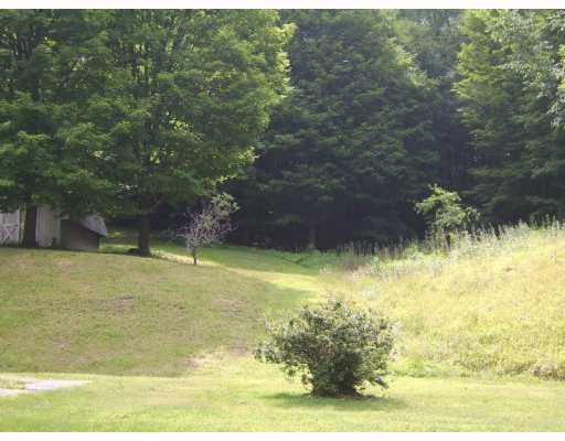990 Sugar Hollow Road Apollo, PA 15613 - Photo 11 of 12 Land/Lot. This property includes 4 acres!