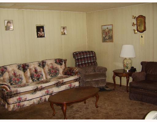Living Room. Large and open living room!