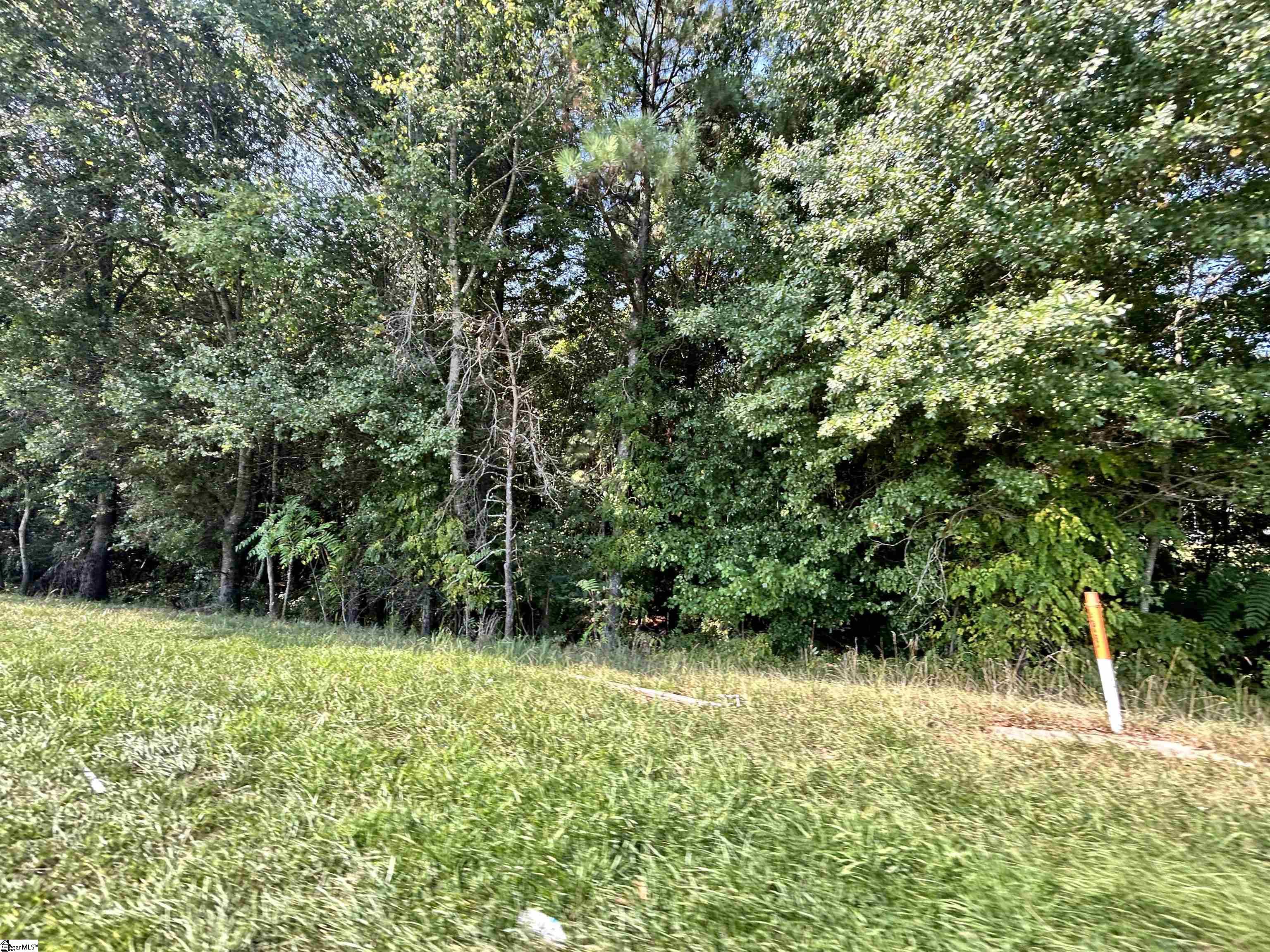 0 153rd Highway Easley, SC 29642 - Photo 15 of 17