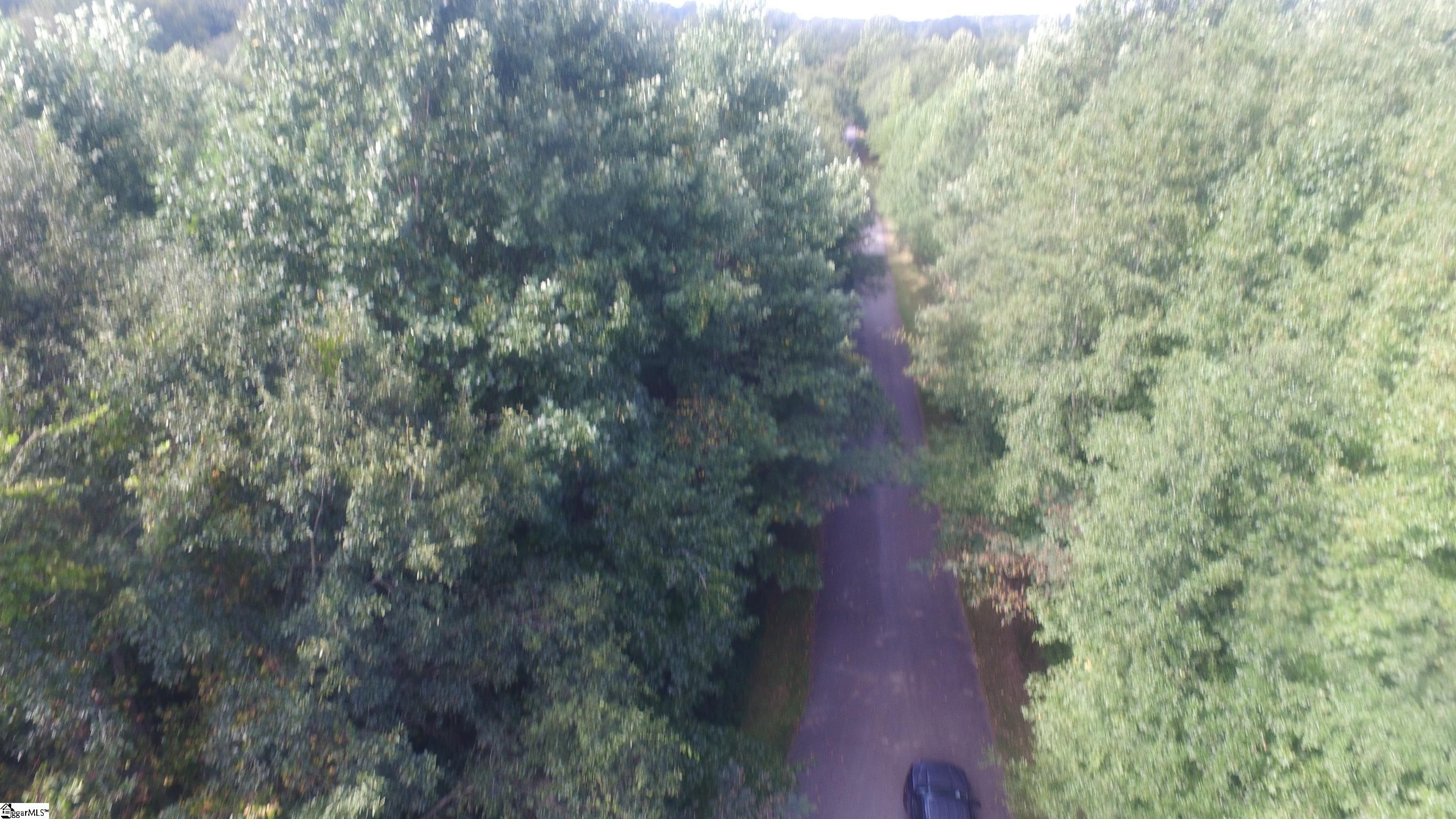 0 153rd Highway Easley, SC 29642 - Photo 2 of 17