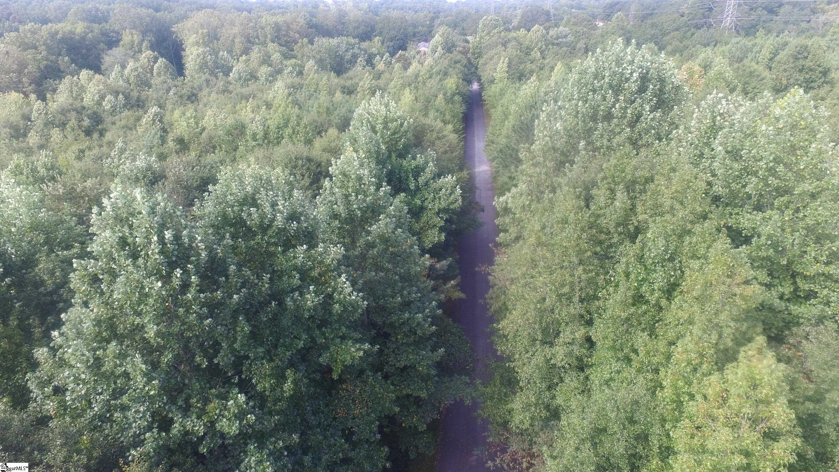 0 153rd Highway Easley, SC 29642 - Photo 3 of 17