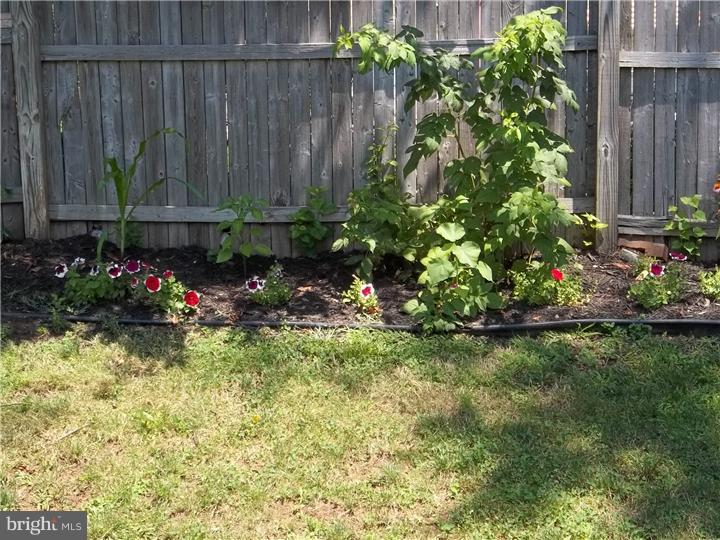 18 Sun Valley Road Hamilton, NJ 08690 - Photo 25 of 25 Back Yard
