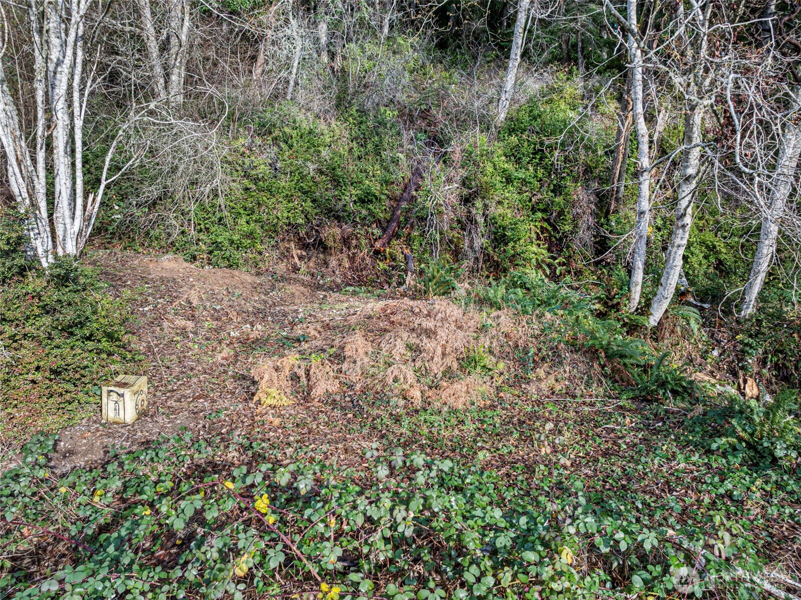 7364 Northeast North Shore Road Belfair, WA 98528 - Photo 24 of 28