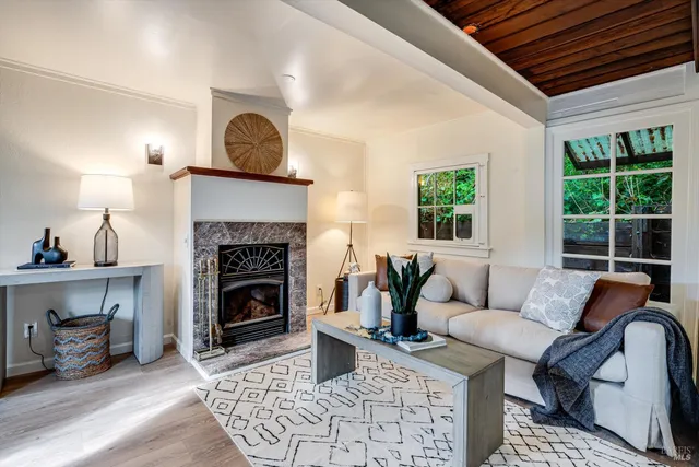 a living room with furniture and a fireplace