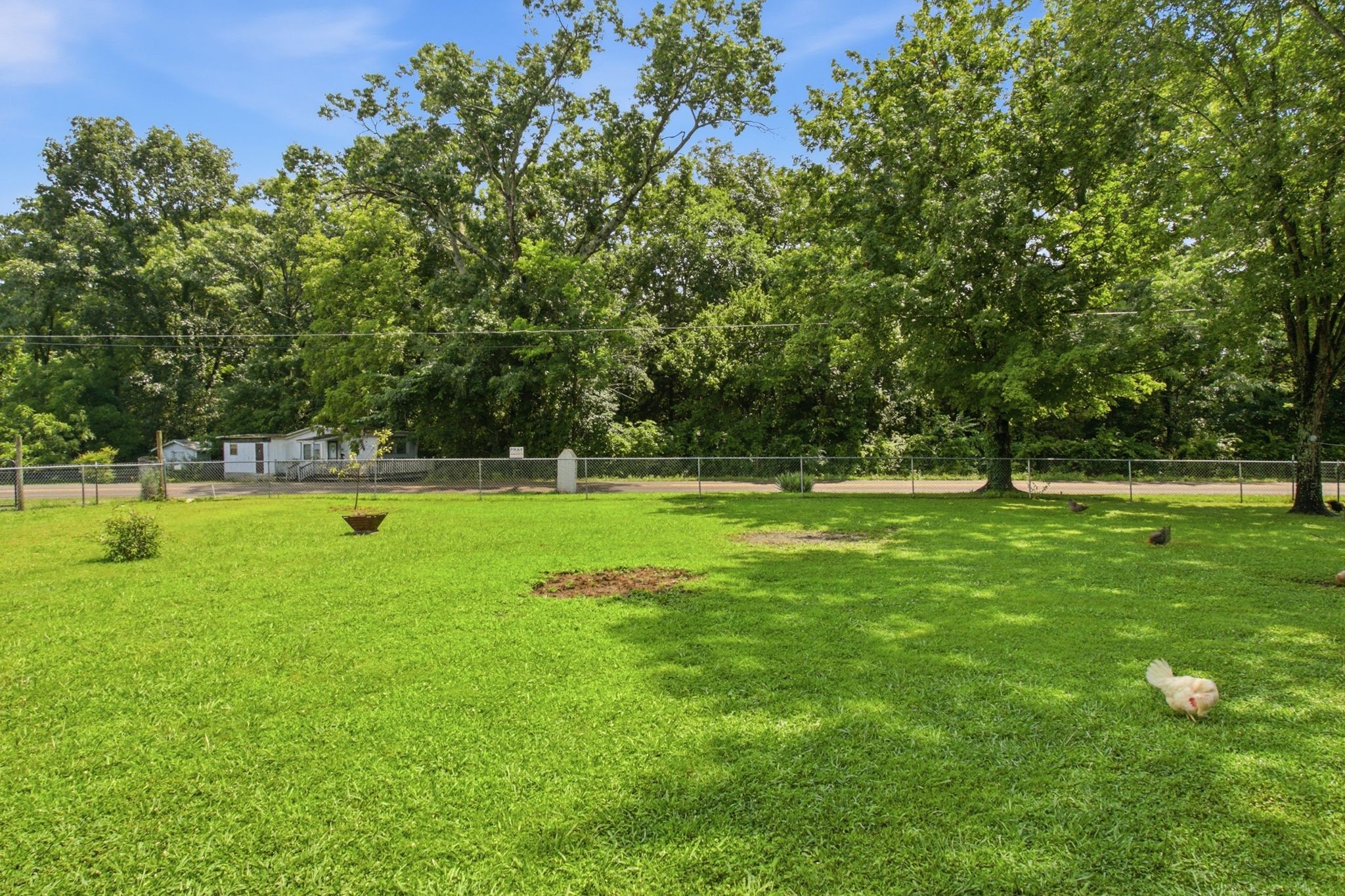 1900 Holly Grove Road Lewisburg, TN 37091 - Photo 6 of 40