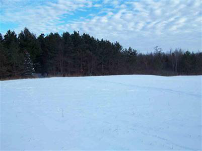 10281 Willard Road Millington, MI 48746 - Photo 6 of 14 20265688-5.JPG