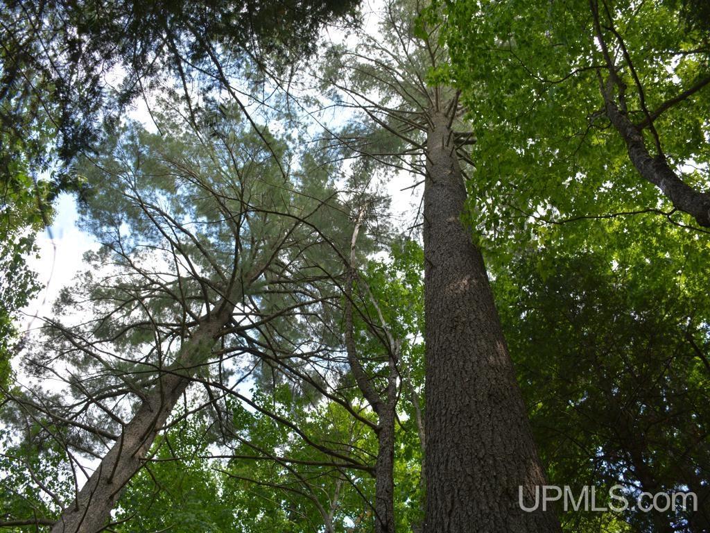 0 Gold Mine Lake Road Ishpeming, MI 49849 - Photo 17 of 19
