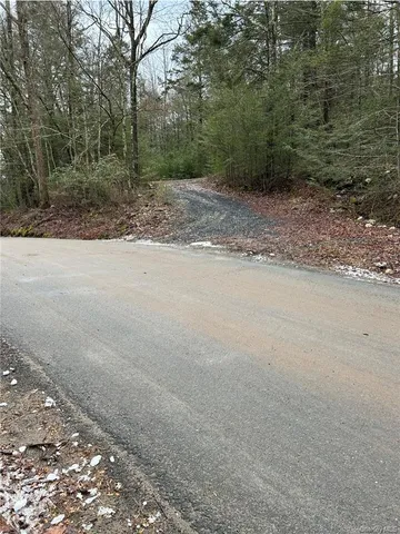 a big yard with lots of green space