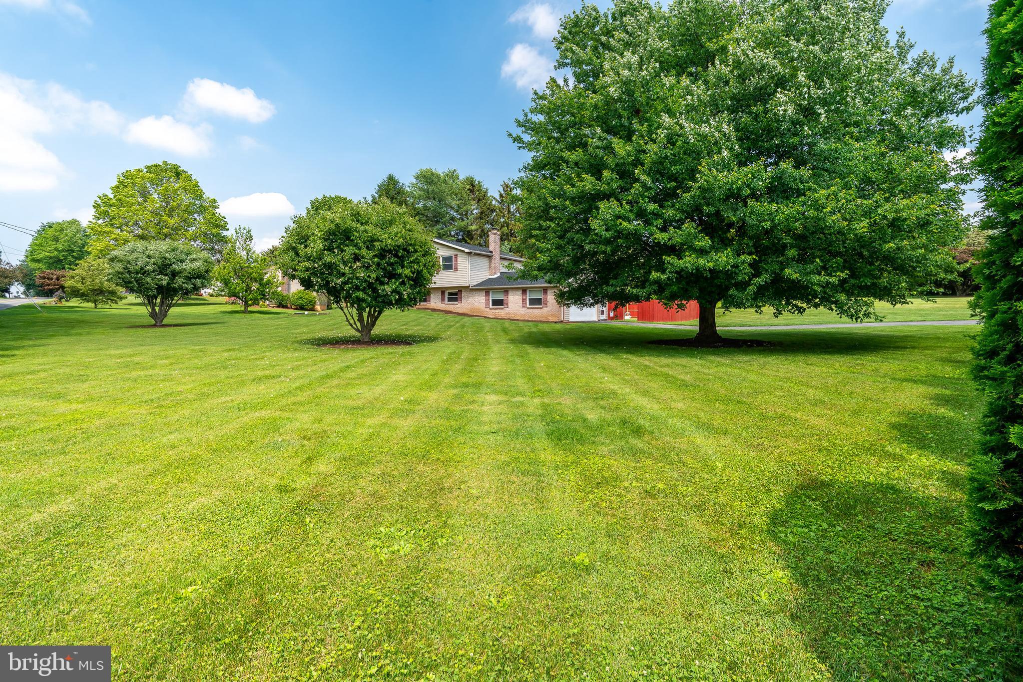100 Bender Mill Road Lancaster, PA 17603 - Photo 3 of 34 Beautiful Shade Trees