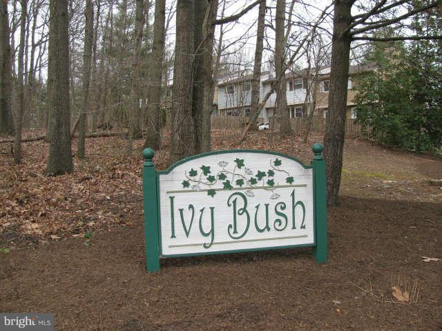 11515 Ivy Bush Court Reston, VA 20191 - Photo 2 of 12 Community