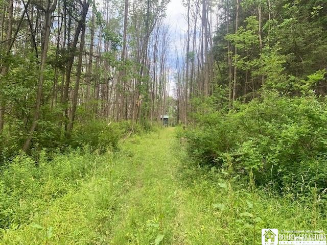905 Waterman Road Kennedy, NY 14747 - Photo 25 of 35
