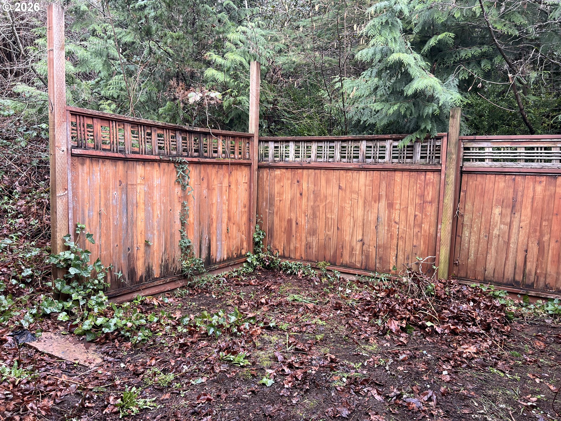 5200 Southeast 132nd Avenue, Unit 14 Portland, OR 97236 - Photo 17 of 17 a view of a backyard with a garden