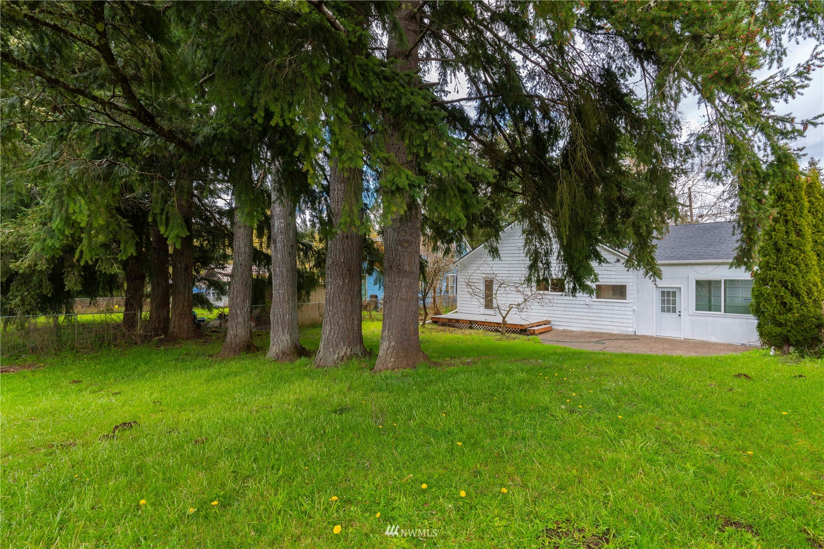413 West 4th Avenue Pe Ell, WA 98572 - Photo 28 of 32 a view of a tree in front of a house
