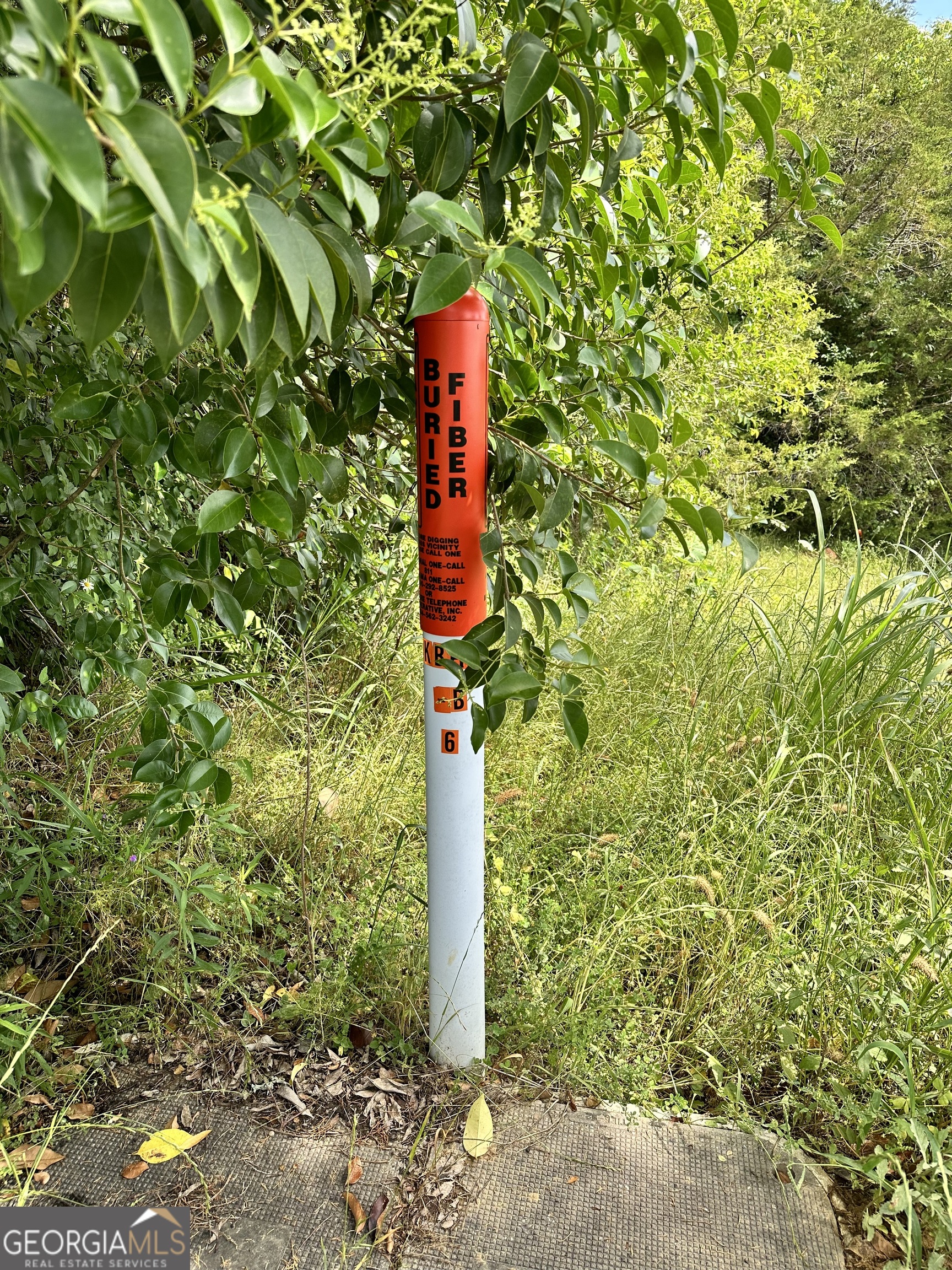 8 Cr-14 Ramer, AL 36069 - Photo 15 of 16