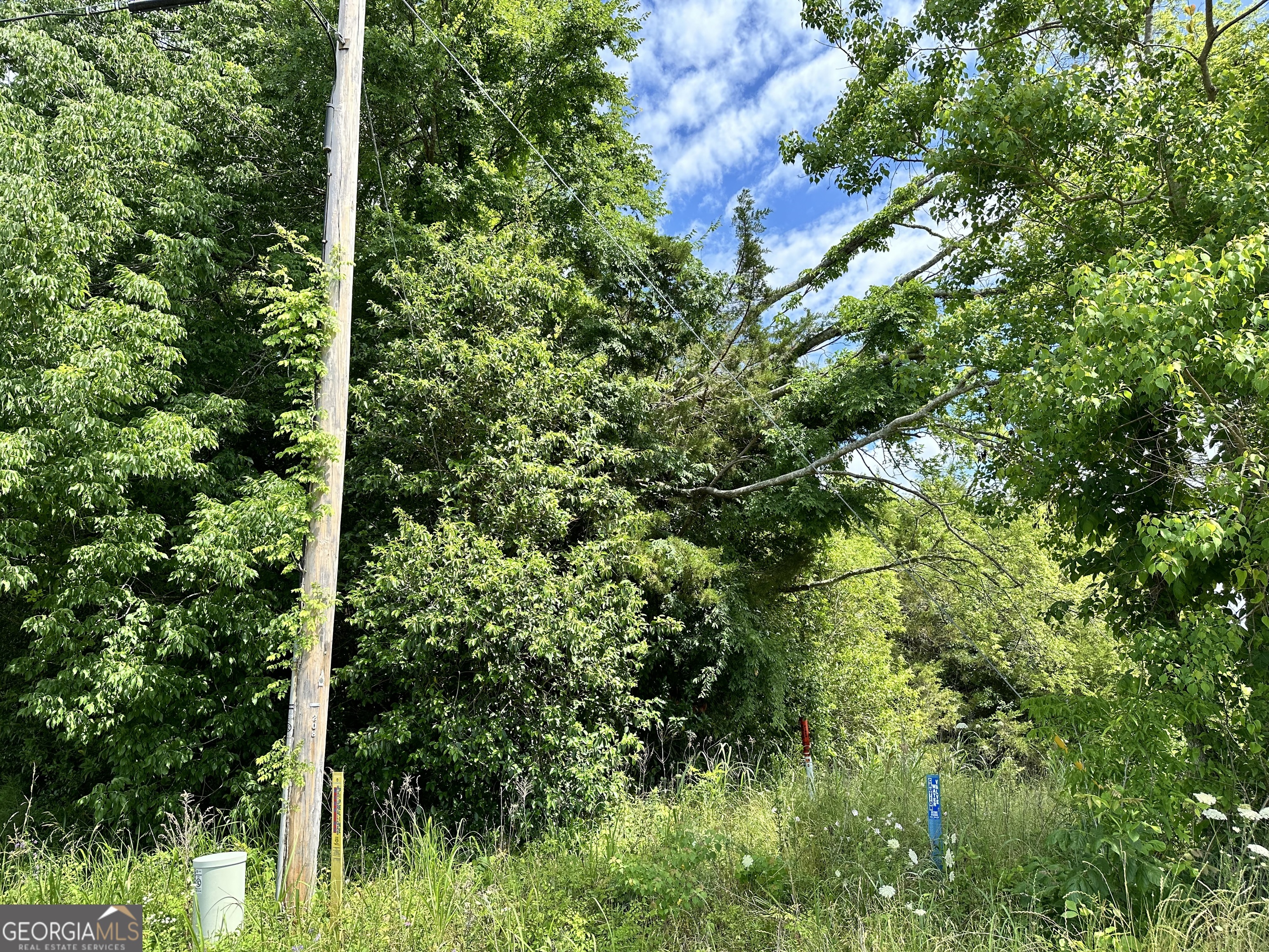 8 Cr-14 Ramer, AL 36069 - Photo 16 of 16