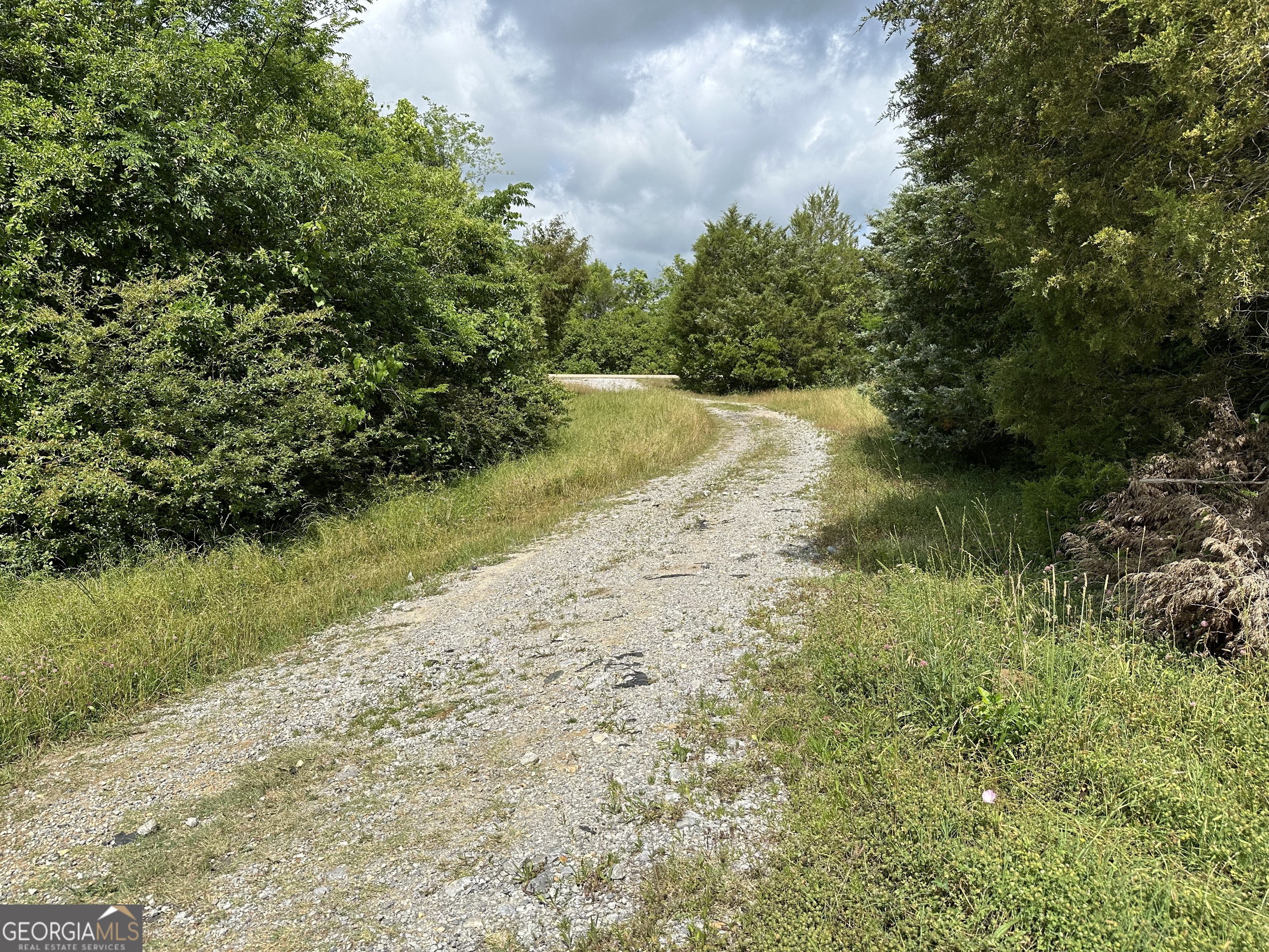 8 Cr-14 Ramer, AL 36069 - Photo 9 of 16