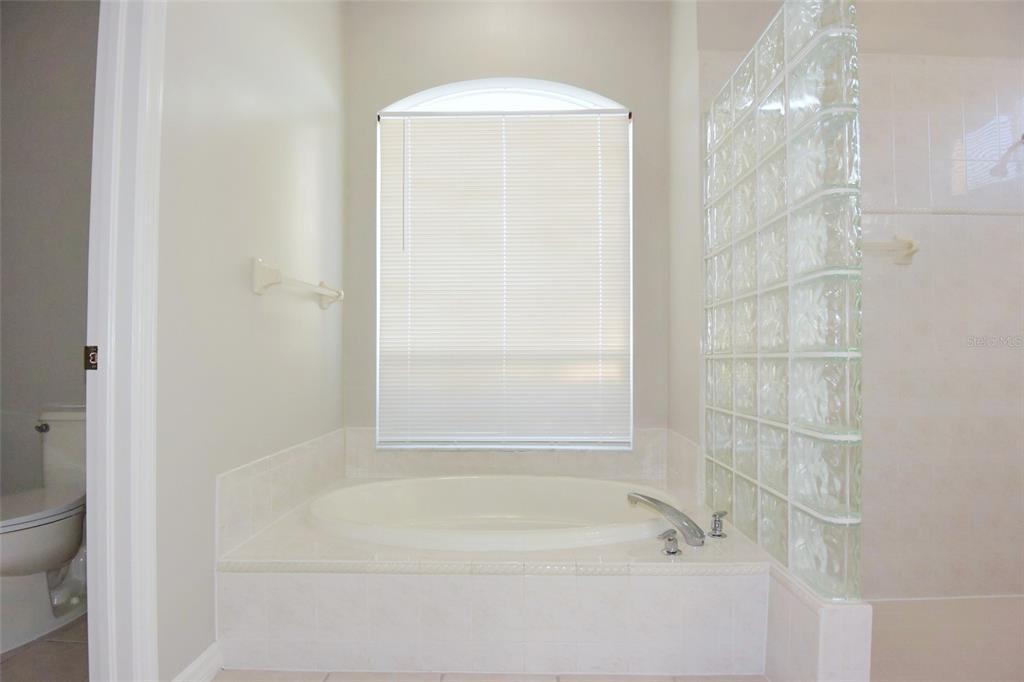 1632 Bayfield Court Trinity, FL 34655 - Photo 17 of 53