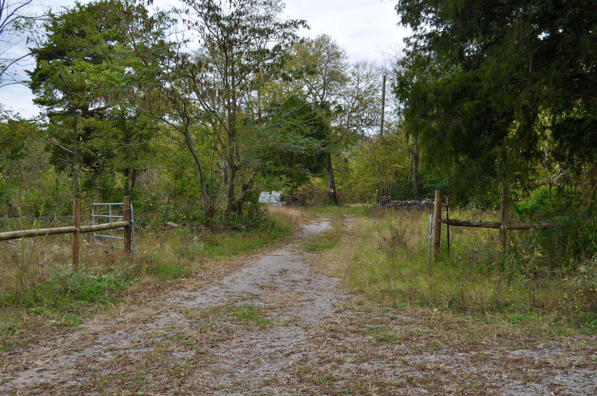 0 March Mill Road Fayetteville, TN 37334 - Photo 13 of 26 Gallery Image 13