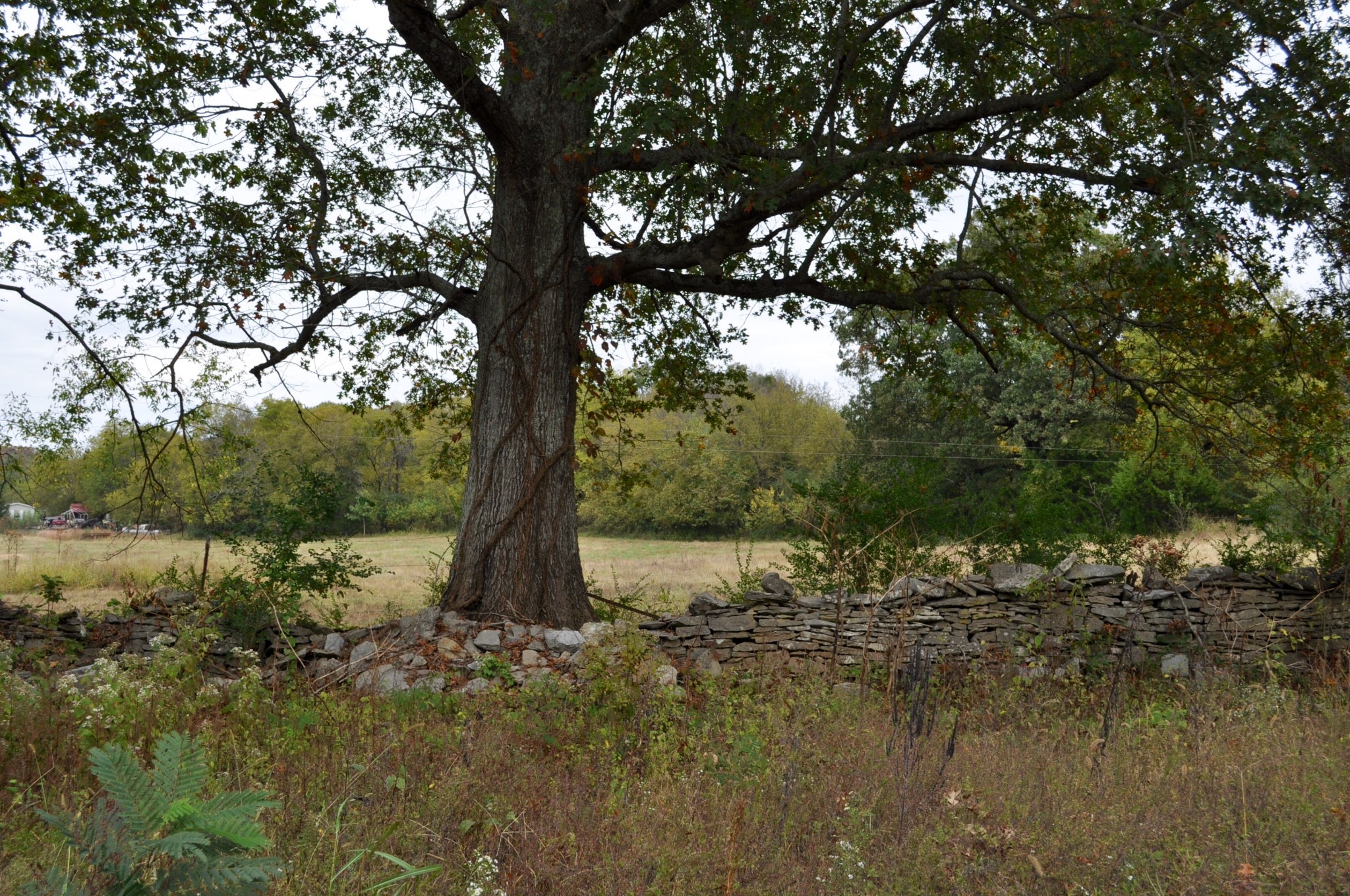 0 March Mill Road Fayetteville, TN 37334 - Photo 20 of 26 Gallery Image 20