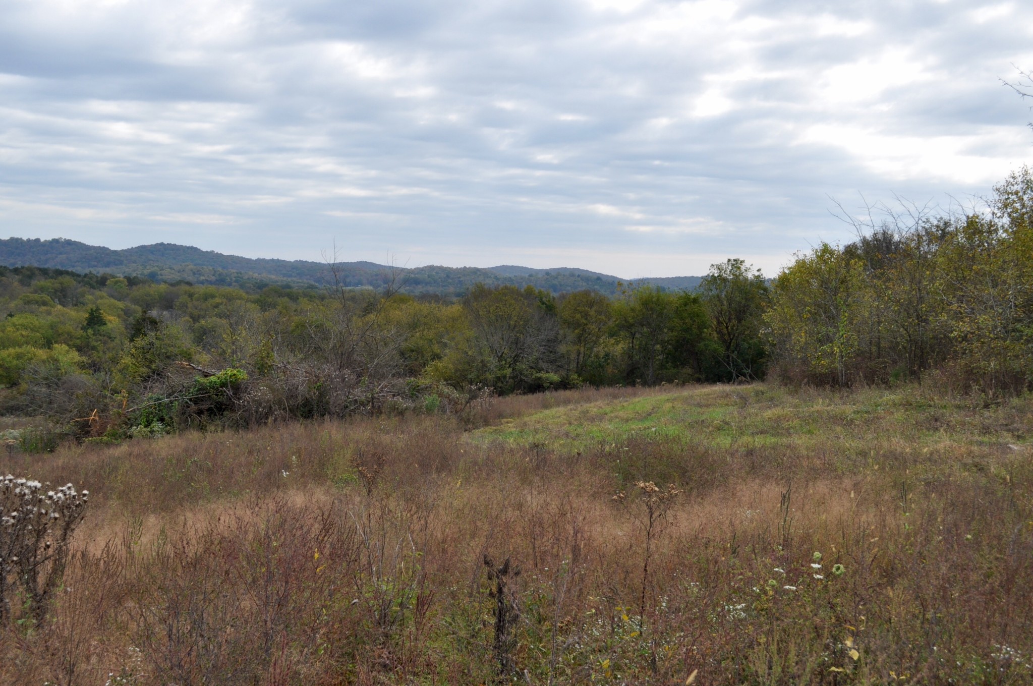 0 March Mill Road Fayetteville, TN 37334 - Photo 22 of 26 Gallery Image 22