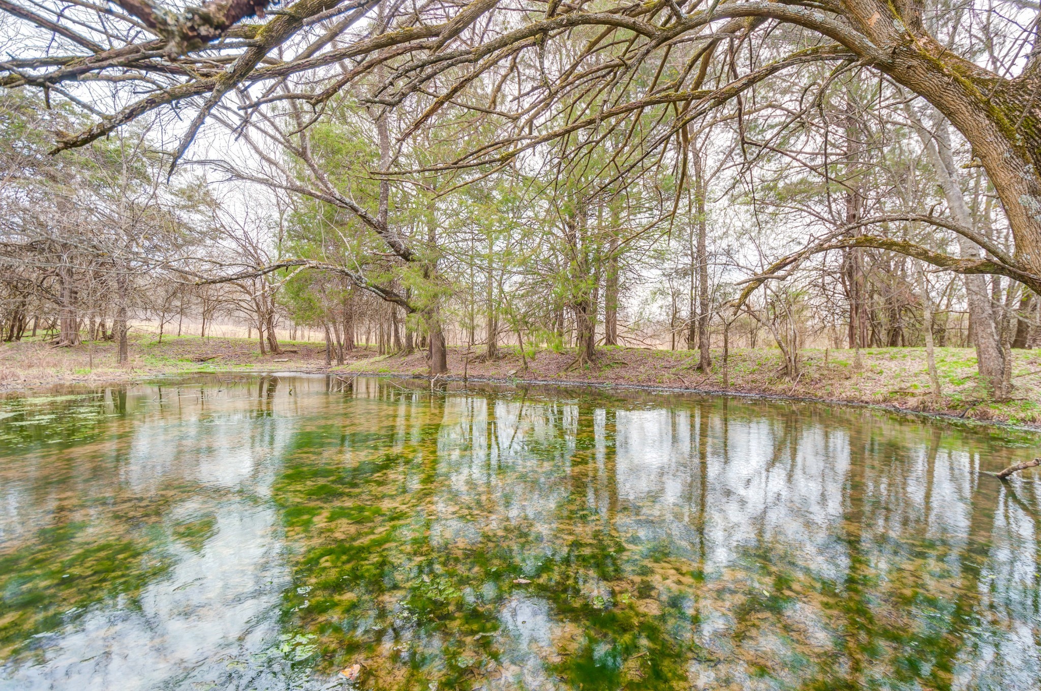 0 March Mill Road Fayetteville, TN 37334 - Photo 23 of 26 Gallery Image 23