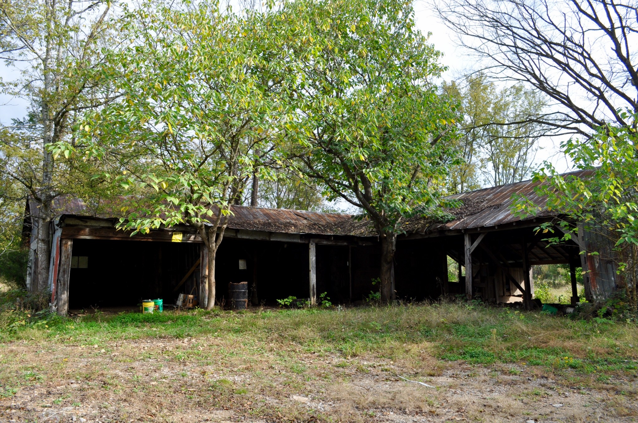 Gallery Image 7