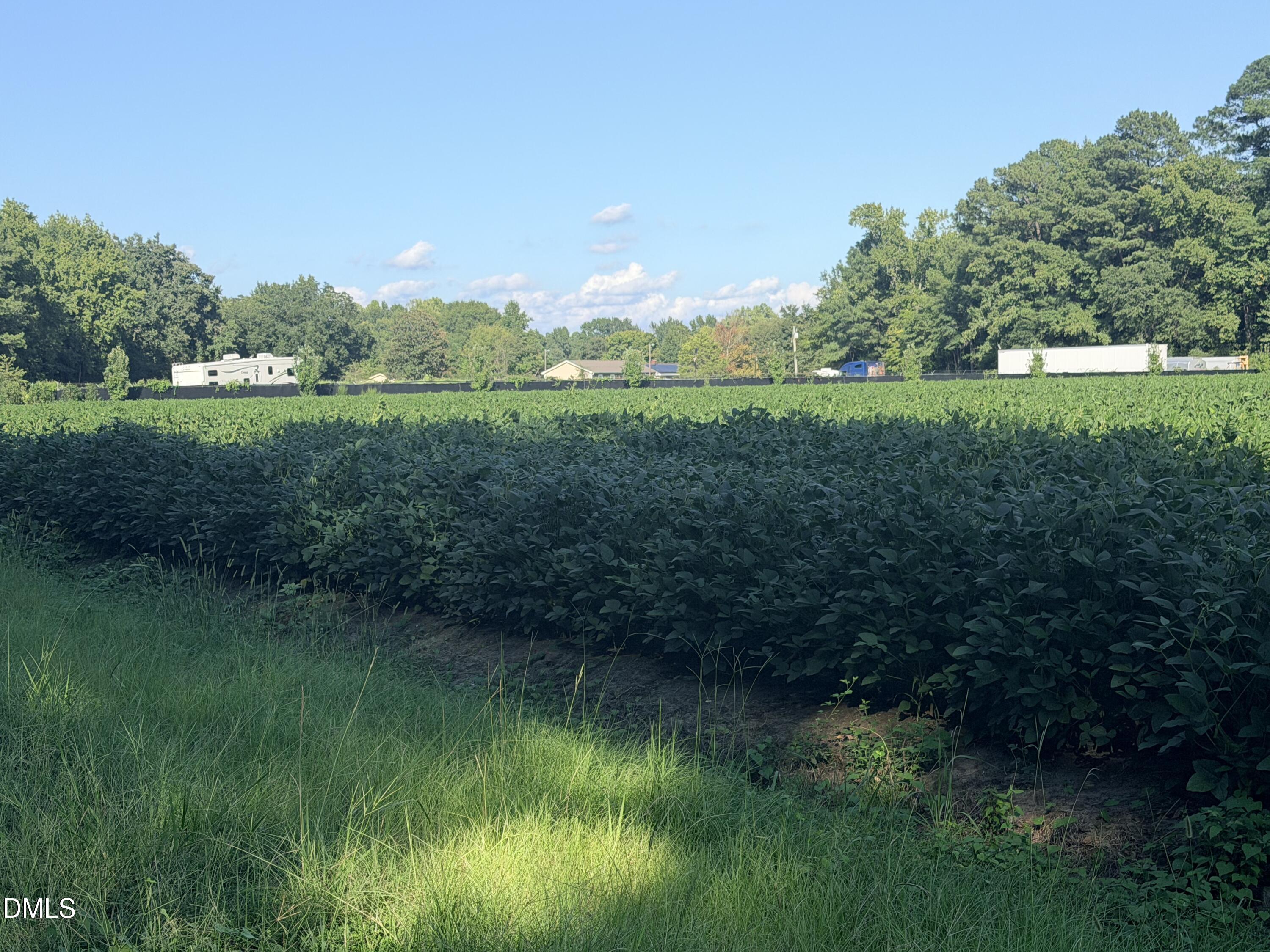 0 Myrtle Road Selma, NC 27576 - Photo 1 of 3 IMG_1632