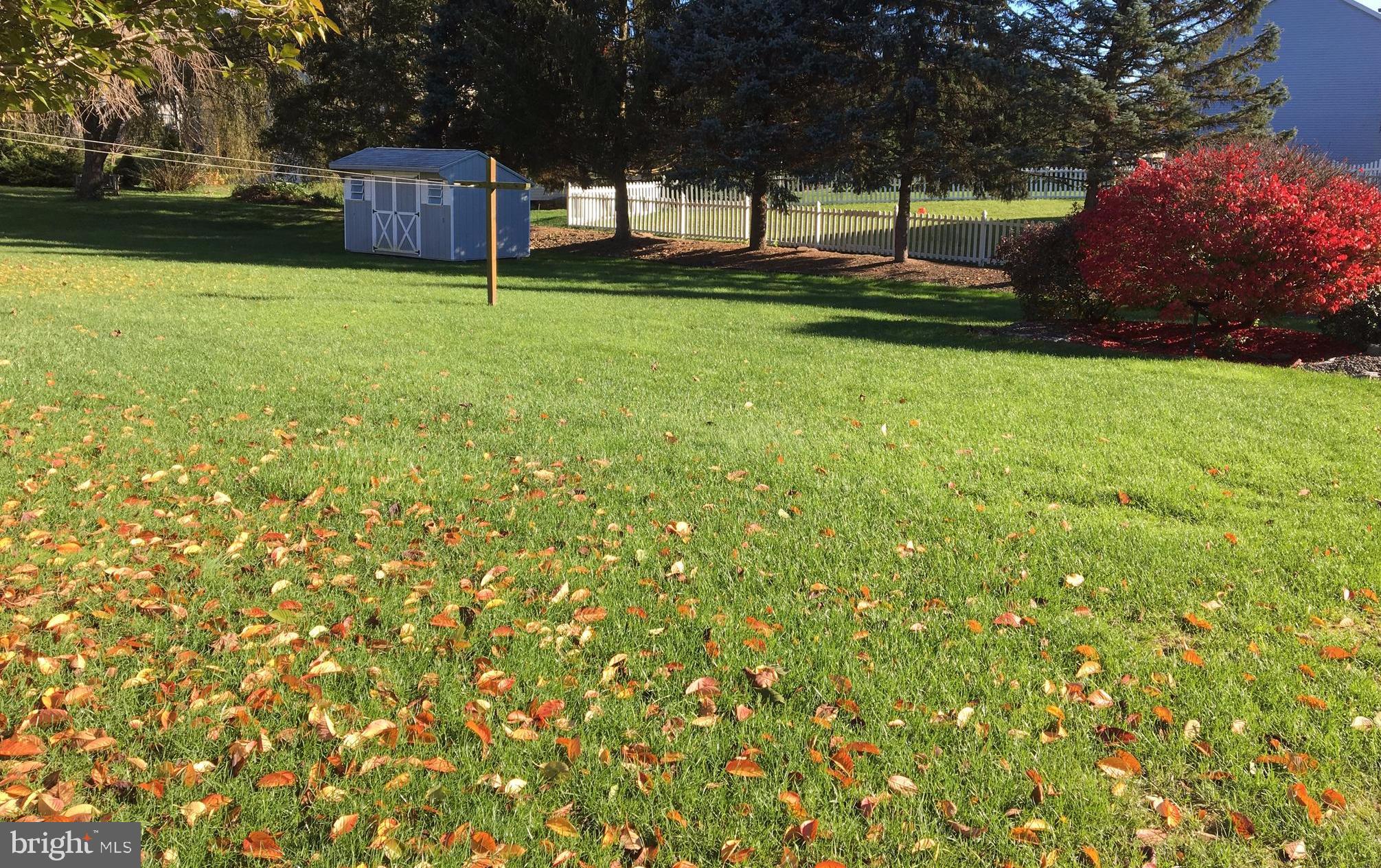Backyard gently sloping