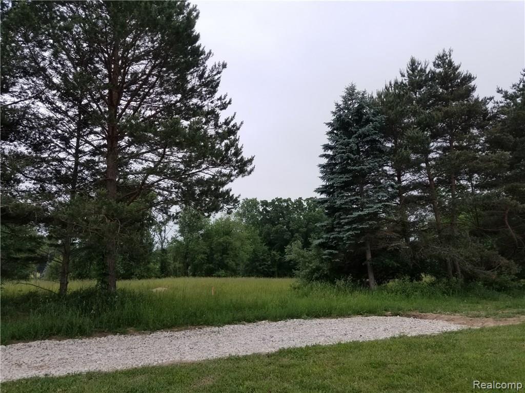 Parcel N Weller Gregory, MI 48137 - Photo 20 of 26