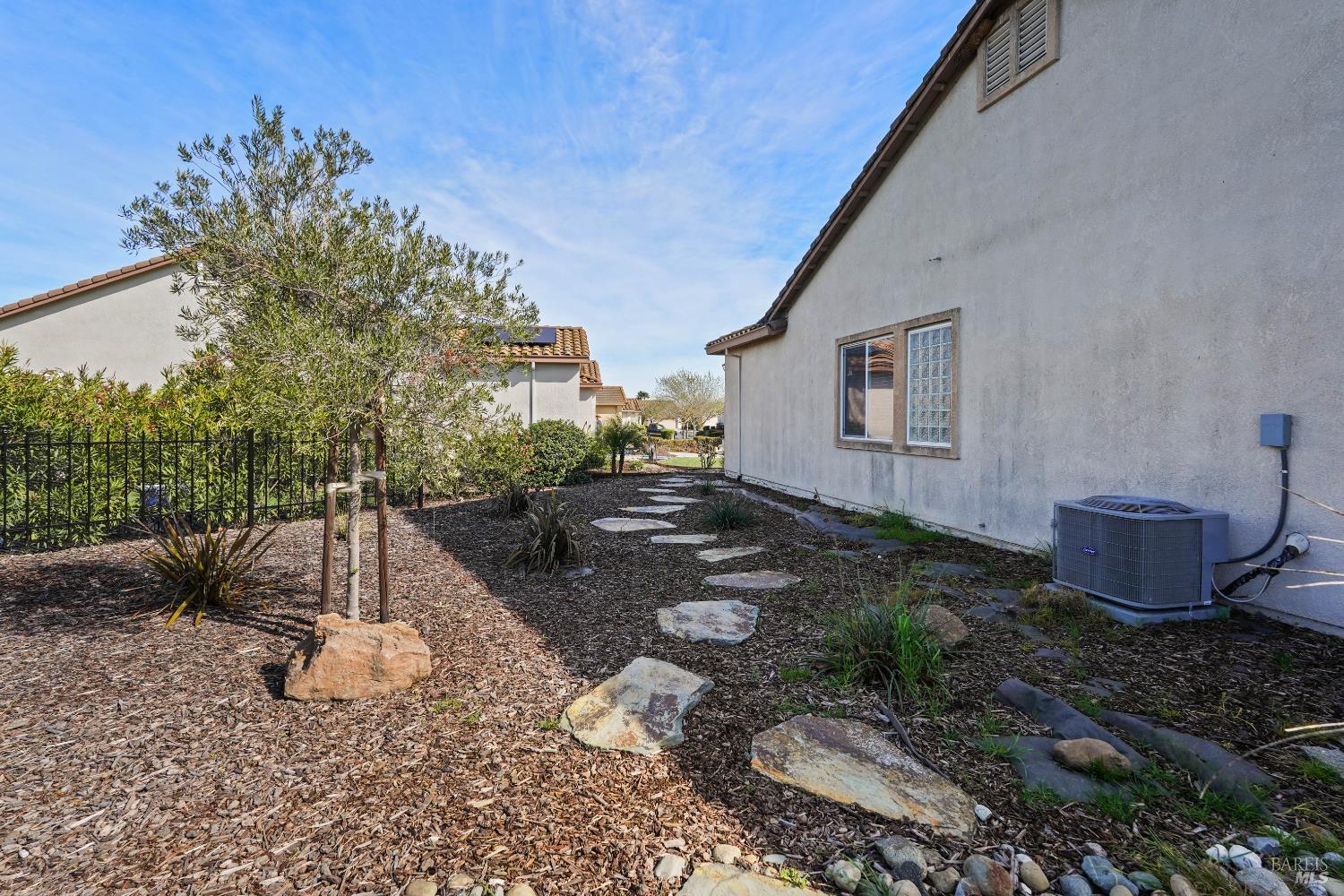 341 Watson Hollow Drive Rio Vista, CA 94571 - Photo 30 of 38 a view of a backyard with plants and trees