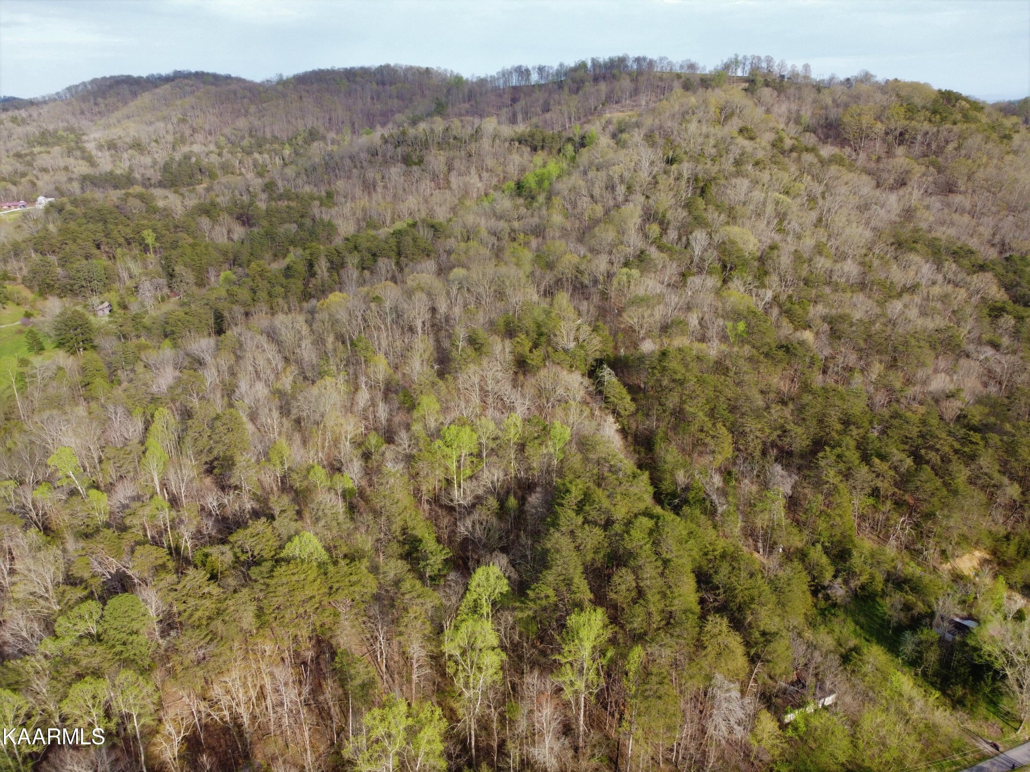 0 Lester Whitt Road Rutledge, TN 37861 - Photo 8 of 26 Gallery Image 8