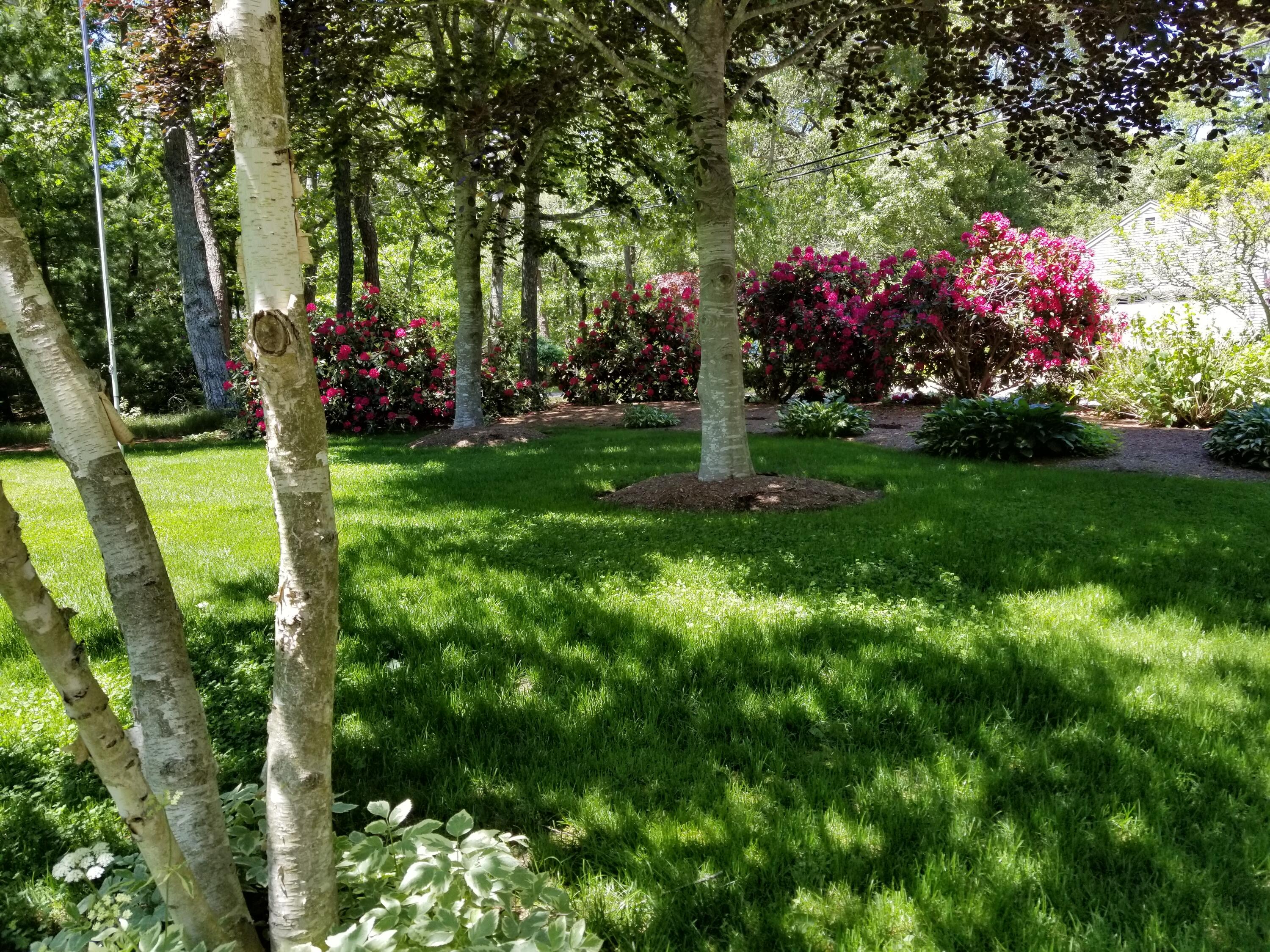 85 Clamshell Cove Road Cotuit, MA 02635 - Photo 35 of 46 yard with trees