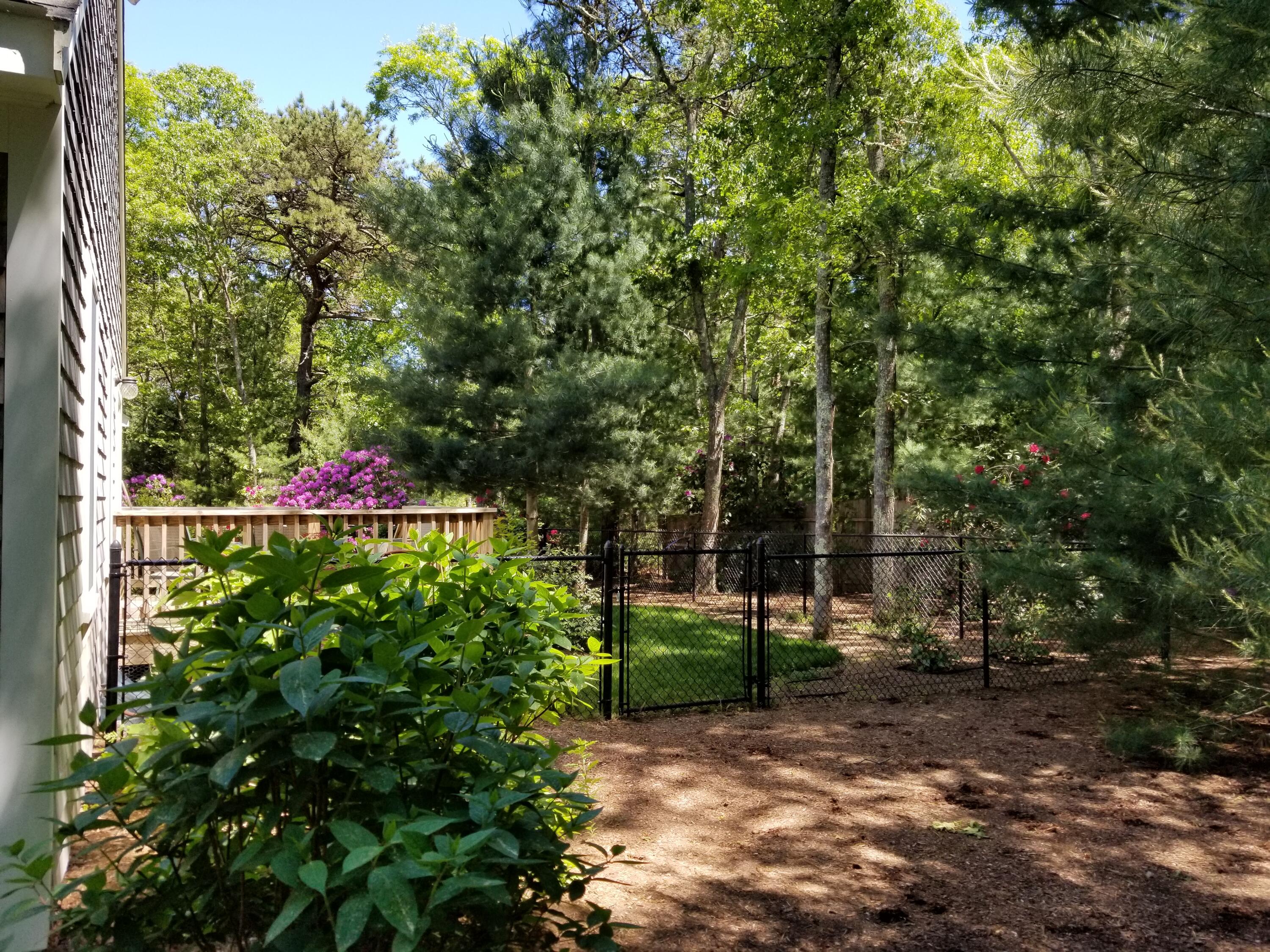 85 Clamshell Cove Road Cotuit, MA 02635 - Photo 36 of 46 Back fence
