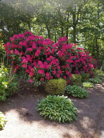 $1,050,000 | 85 Clamshell Cove Road, Cotuit, MA 02635